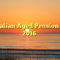 Australian Aged Pension Rates 2016